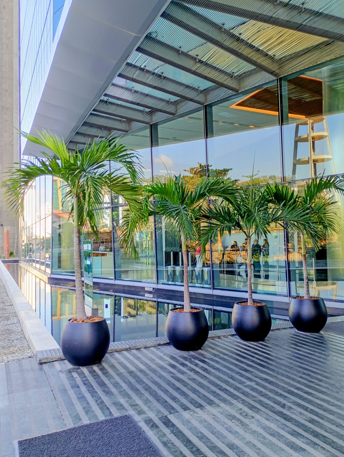 Aluguel de Vasos e Plantas